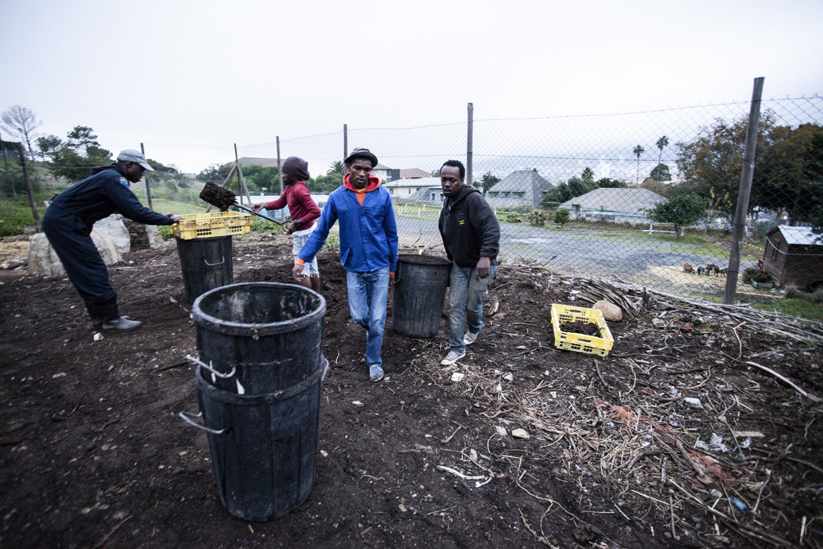 Digging up compost for the vegetable garden.