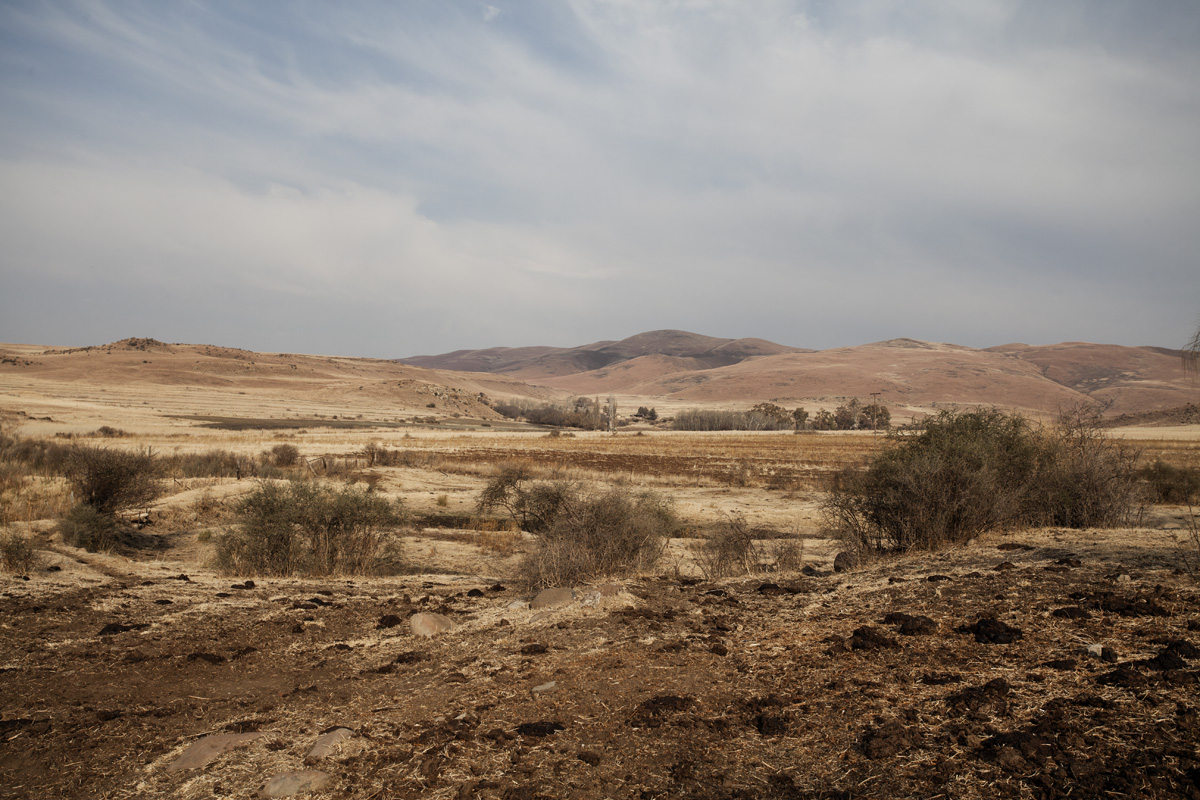 _MG_1539a