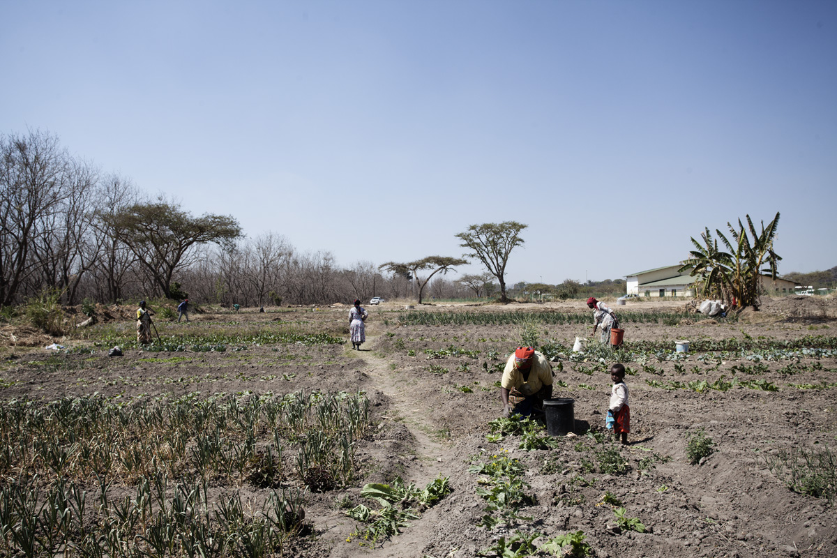Women working in their gardens.